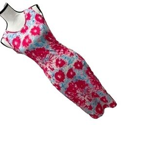 NWOT, ABSOLUTELY & FAITH, Pink, Blue, Floral, Bodycon, Pencil, Dress, Size M